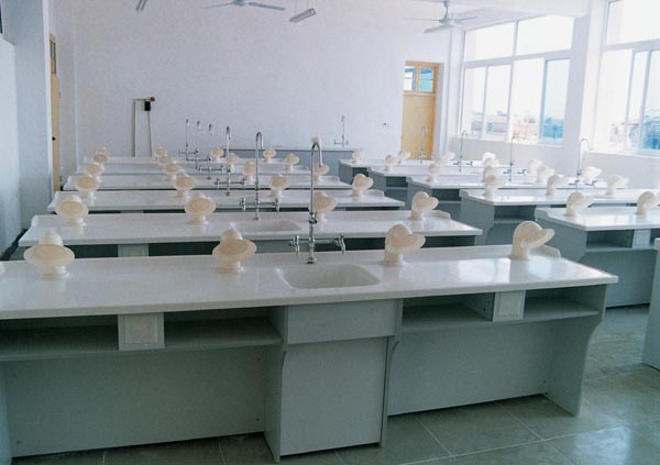 ���W(xu��)������O(sh��)��