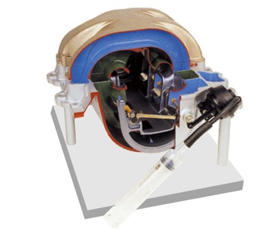 �Б�(y��ng)�_�P(gu��n)ϵ�y(t��ng)����ģ��