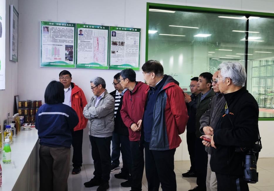 �{(di��o)�ЈF(tu��n)�(du��)�{(di��o)�и�ؕ�h�ݹ���������