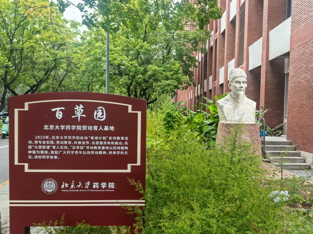 image9.jpeg